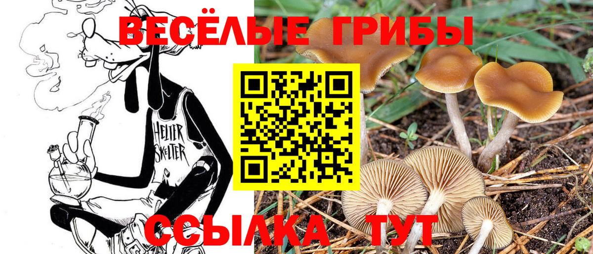 Лабинск  Псилоцибиновые грибы Magic Shrooms  Вход с VPN 