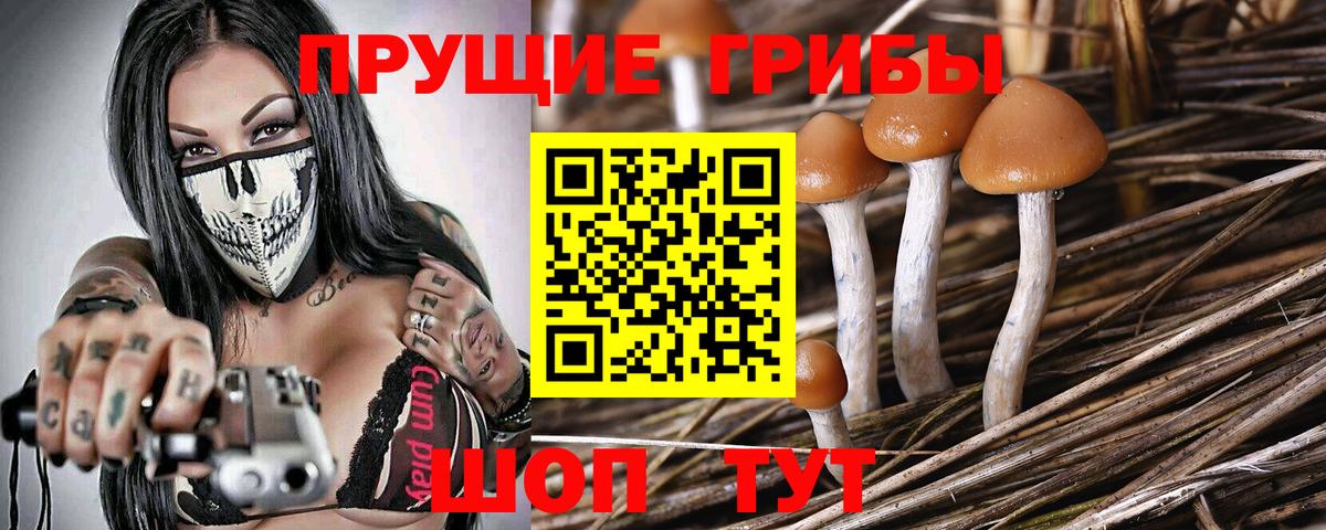Псилоцибиновые грибы ЛСД Лабинск